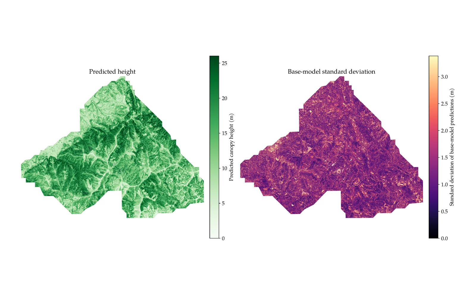 Canopy Height Model prediction and uncertainty preview over Serra da Lousã